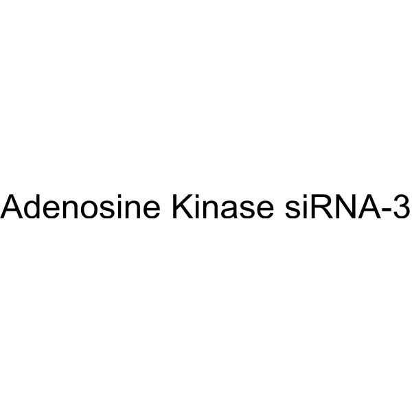 Adenosine Kinase siRNA-3